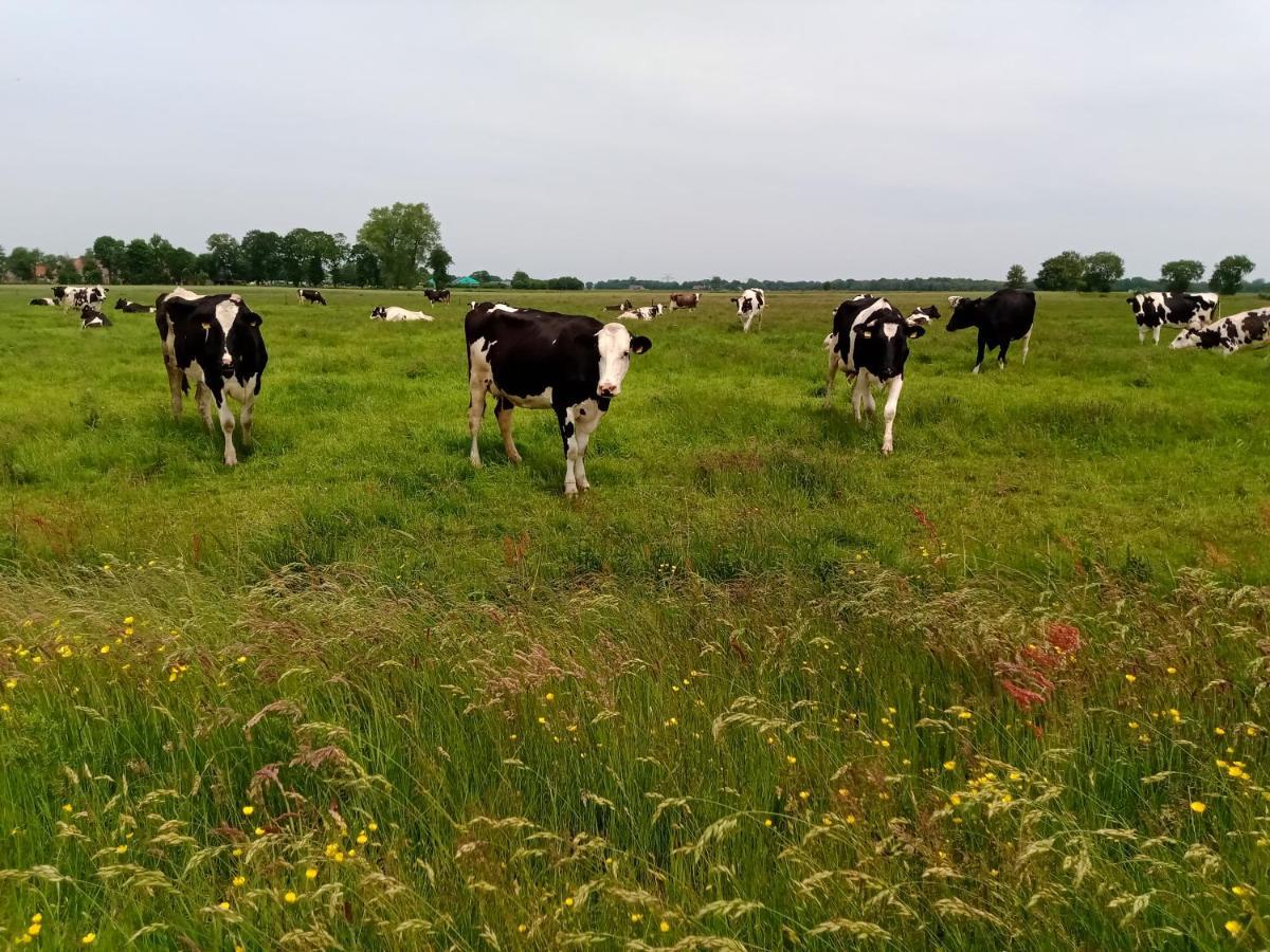 Fewo Unner'D Kastanje Moormerland Buitenkant foto