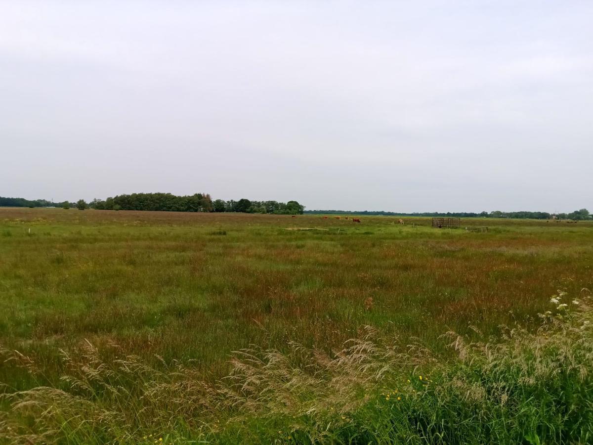 Fewo Unner'D Kastanje Moormerland Buitenkant foto